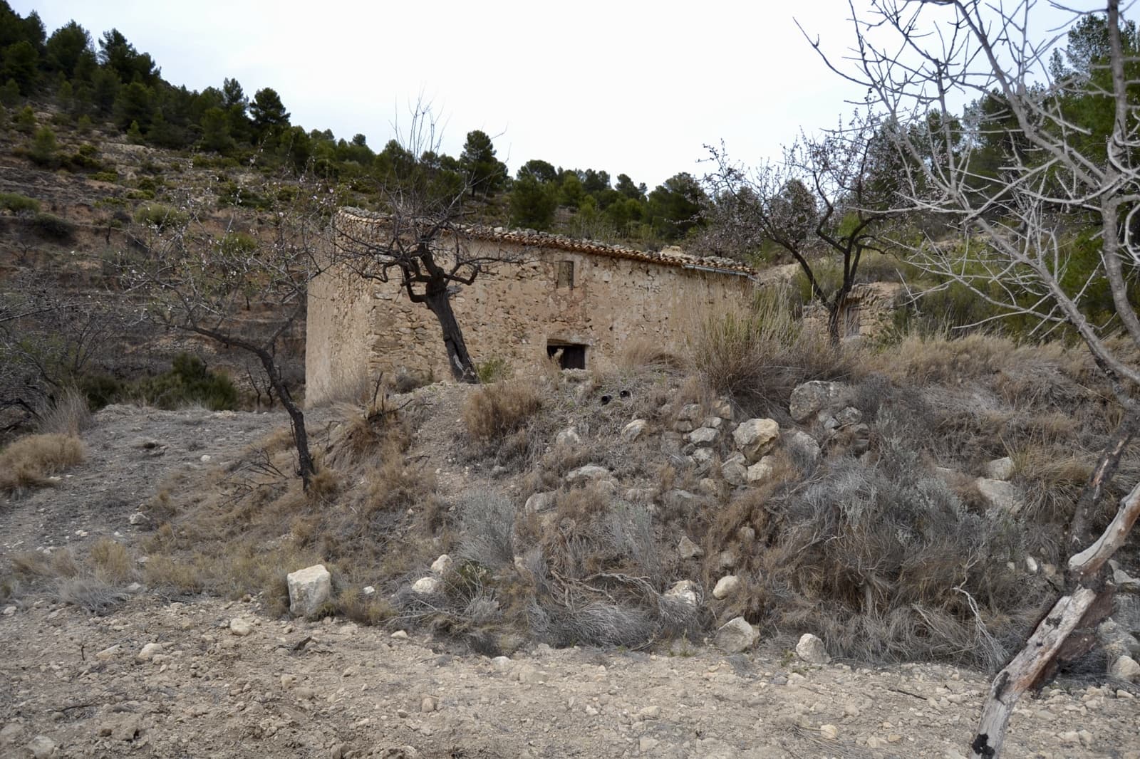 Grunde uden byggetilladelser til salg i Relleu - € 540.000 (Ref: 9050502)