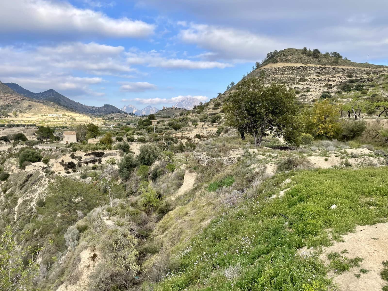 3 soveværelse Finca/Landehus til salg i Relleu med garage - € 185.000 (Ref: 9058222)