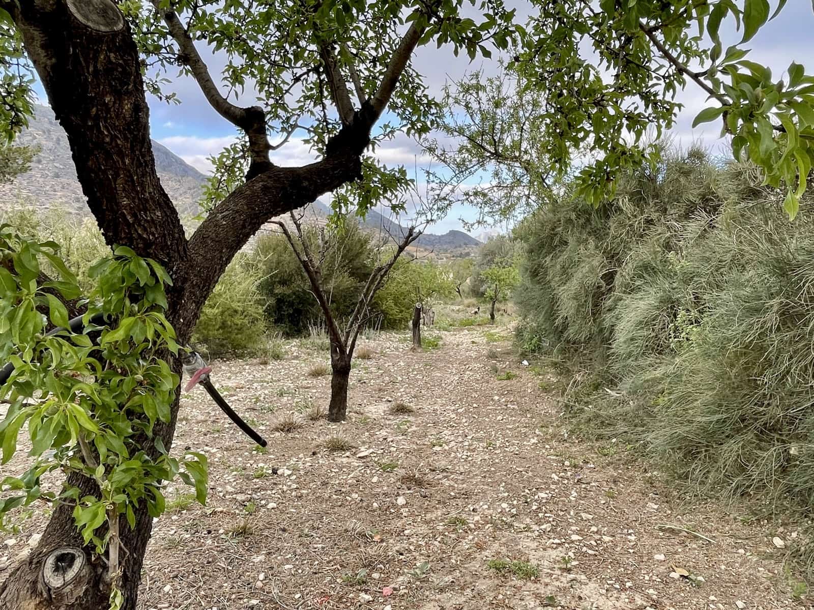 3 soveværelse Finca/Landehus til salg i Relleu med garage - € 185.000 (Ref: 9058222)