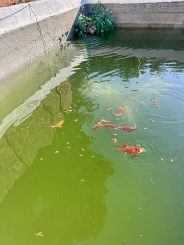 Grunde uden byggetilladelser til salg i Sella - € 36.000 (Ref: 9108270)