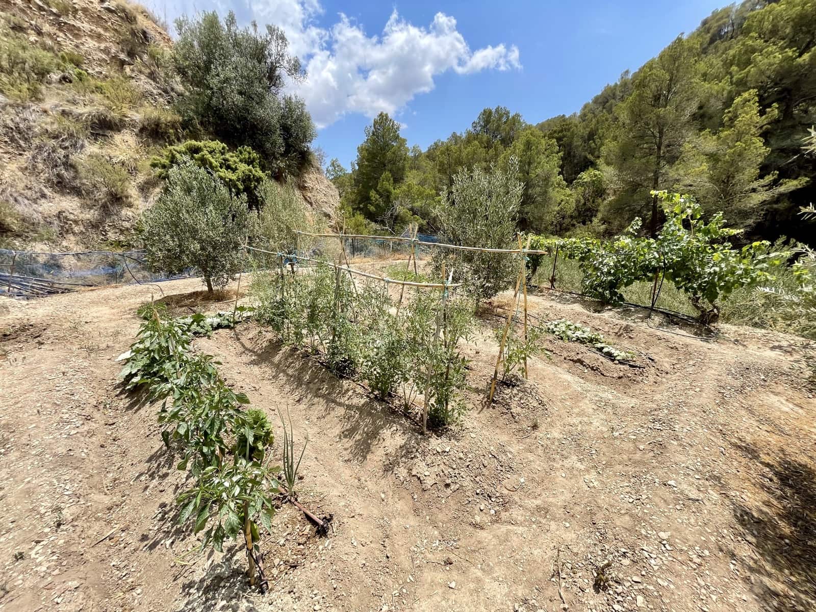 Grond te koop in Sella - € 36.000 (Ref: 9108270)