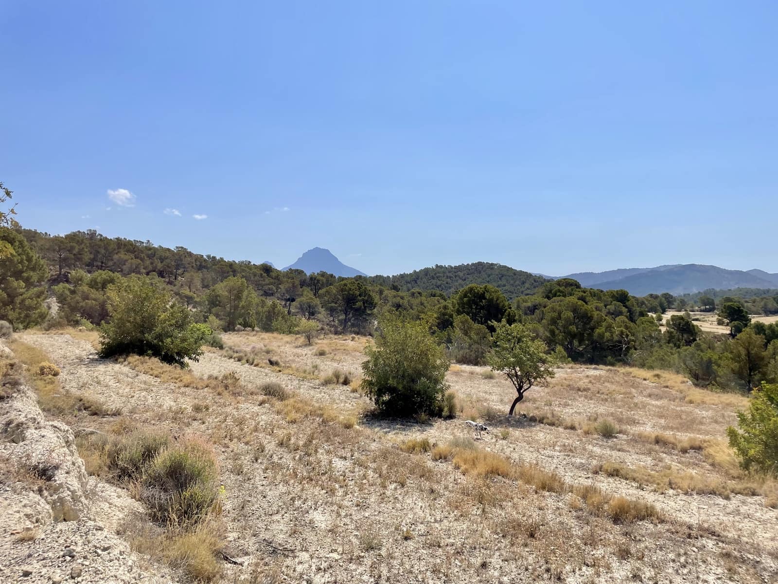 Finca/Country House for sale in Relleu - € 398,000 (Ref: 9113670)