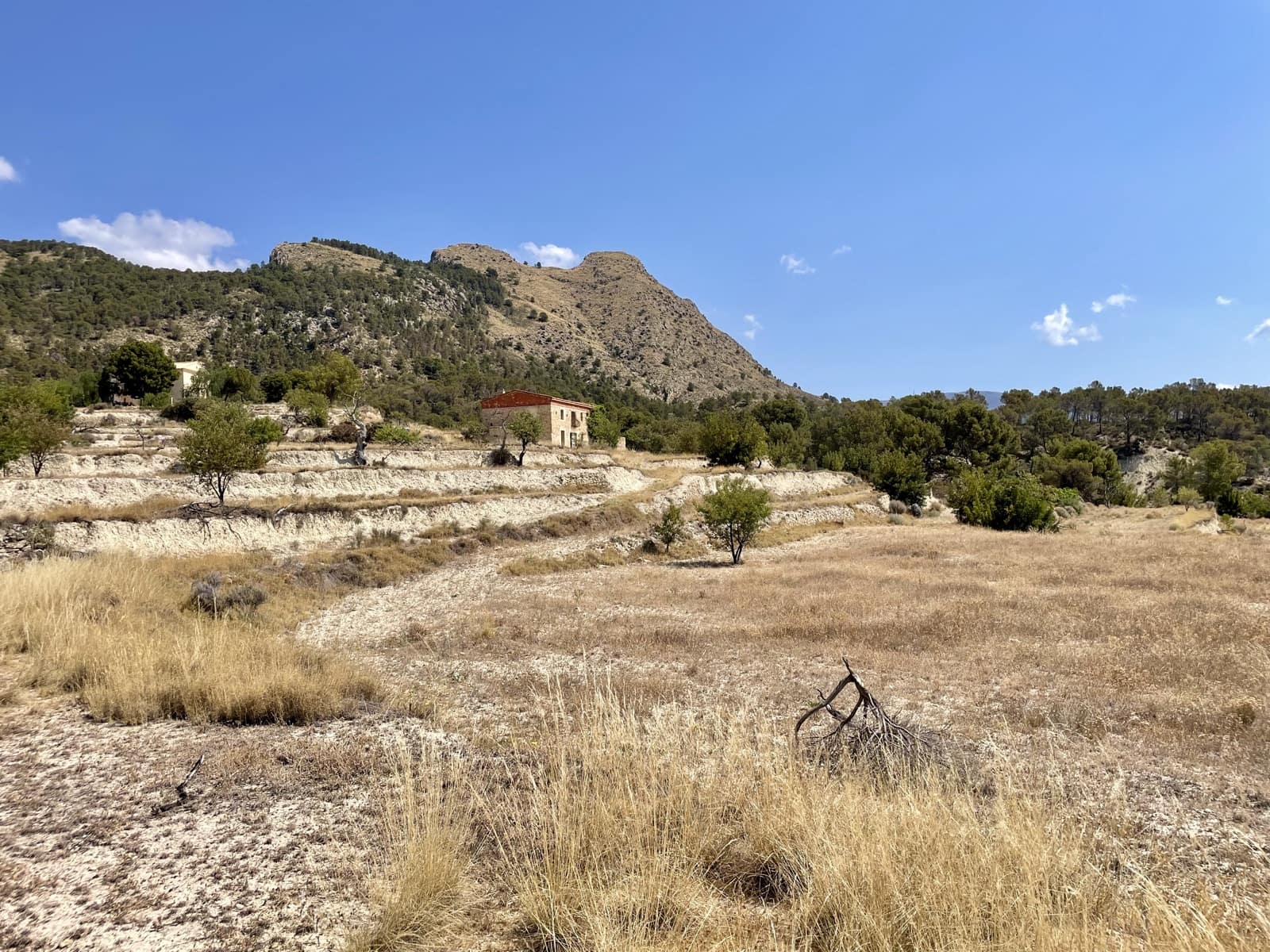 Finca/Country House for sale in Relleu - € 398,000 (Ref: 9113670)