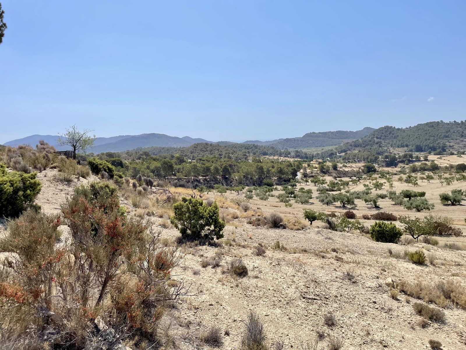 Finca/Country House for sale in Relleu - € 398,000 (Ref: 9113670)