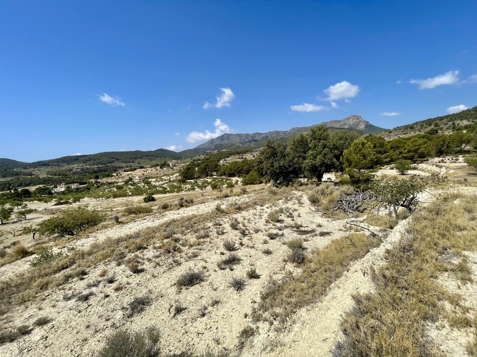 Finca/Country House for sale in Relleu - € 398,000 (Ref: 9113670)