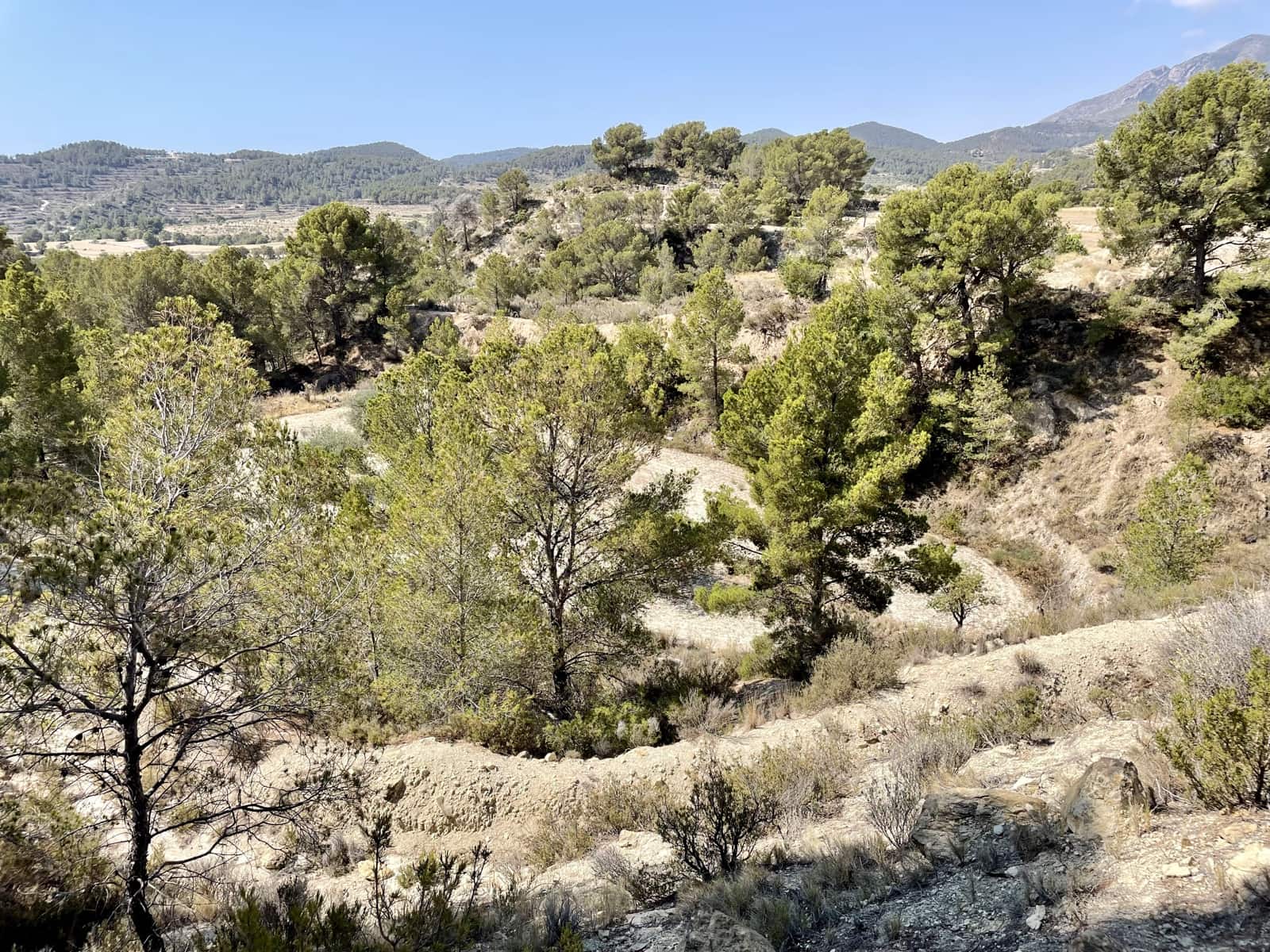 Finca/Country House for sale in Relleu - € 398,000 (Ref: 9113670)