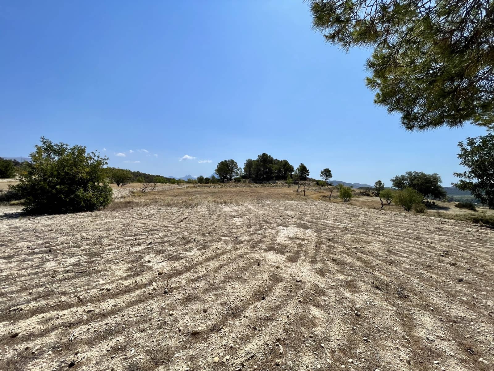 Finca/Country House for sale in Relleu - € 398,000 (Ref: 9113670)