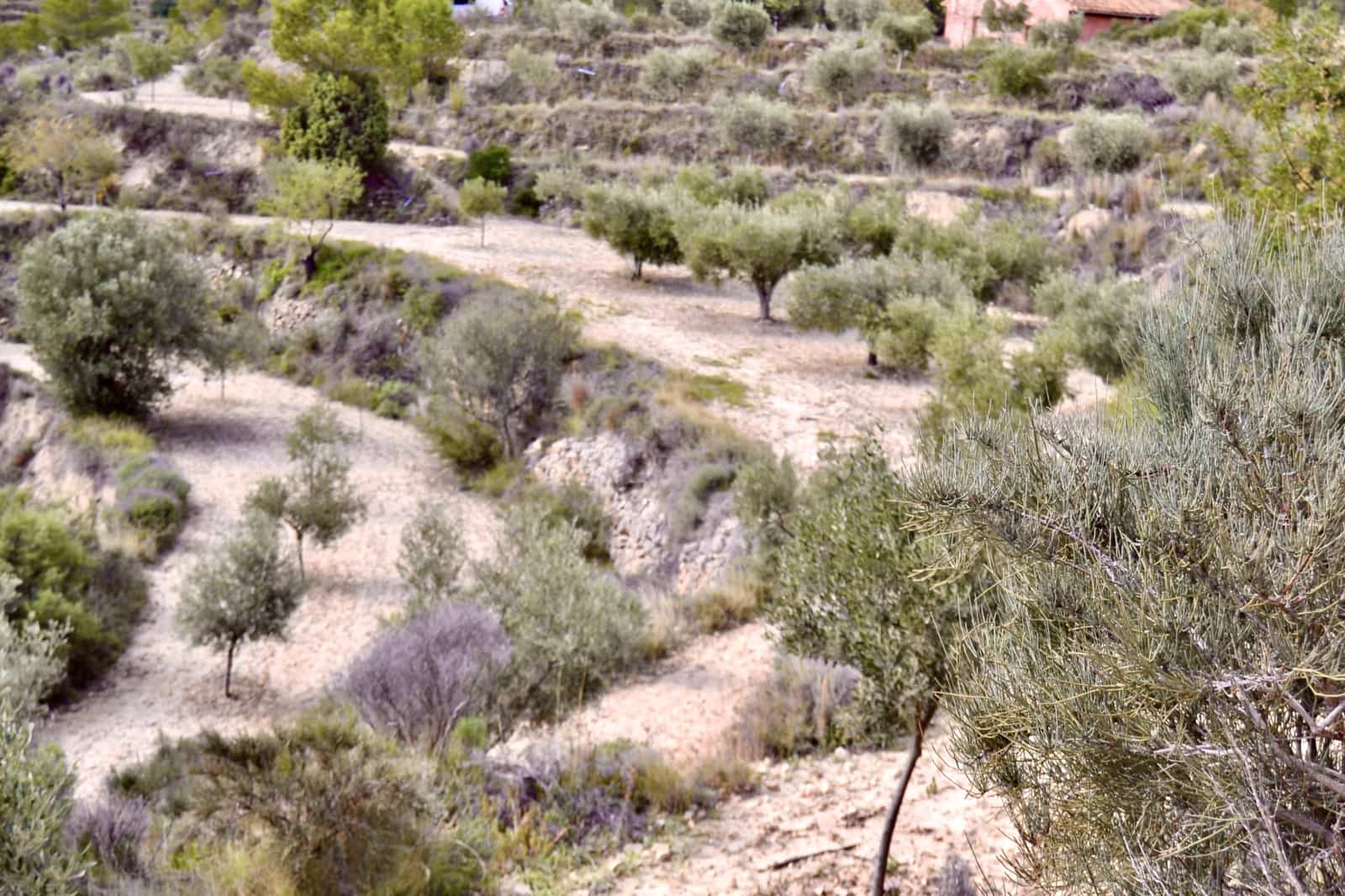 Grond te koop in Relleu - € 58.000 (Ref: 9357474)