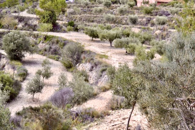 Mark till salu i Relleu - 58 000 € (Ref: 9357474)