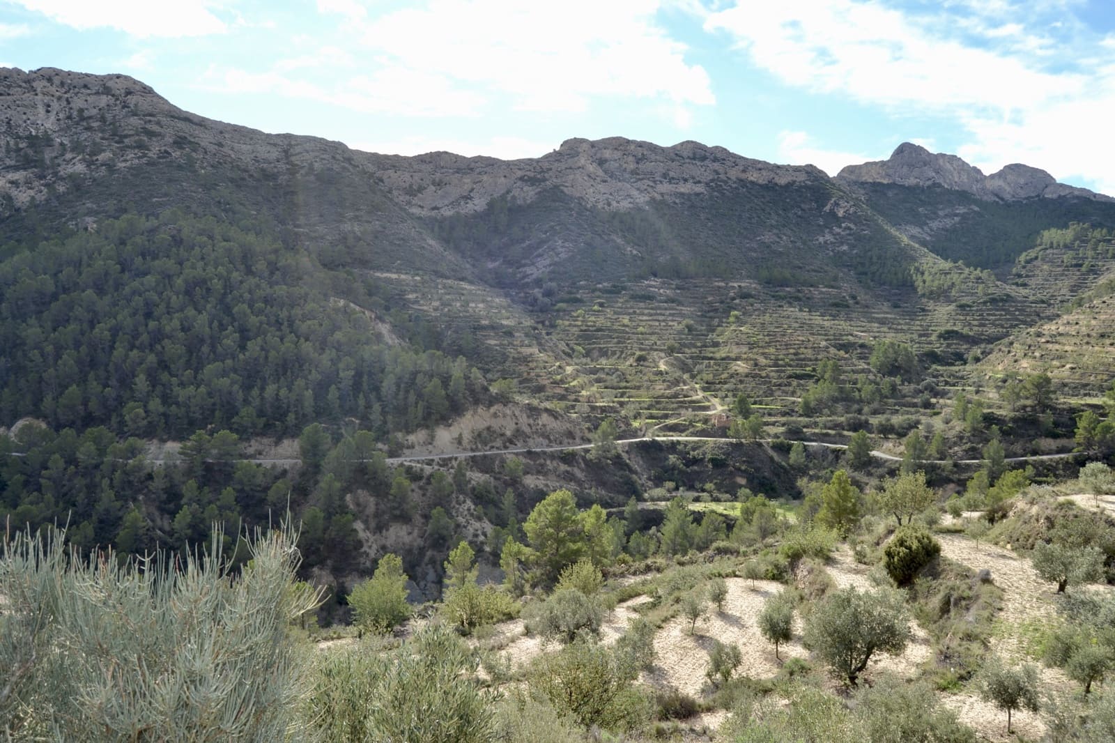 Grond te koop in Relleu - € 58.000 (Ref: 9357474)