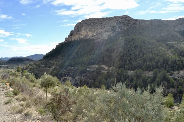 Mark till salu i Relleu - 58 000 € (Ref: 9357474)