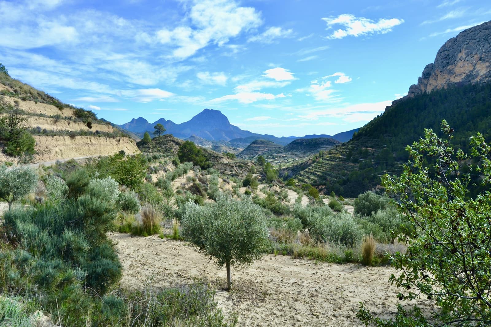 Grond te koop in Relleu - € 58.000 (Ref: 9357474)