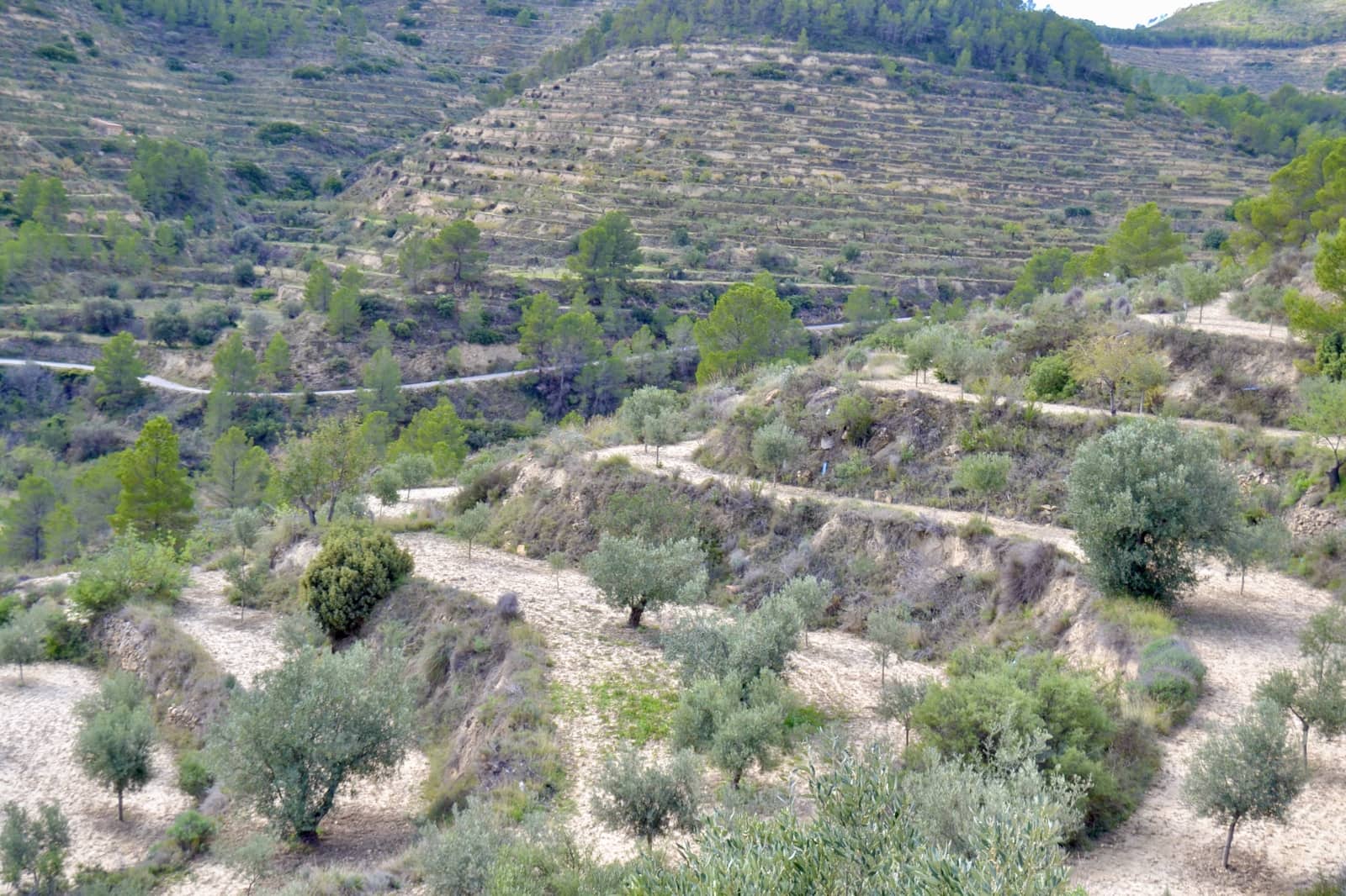 Grond te koop in Relleu - € 58.000 (Ref: 9357474)