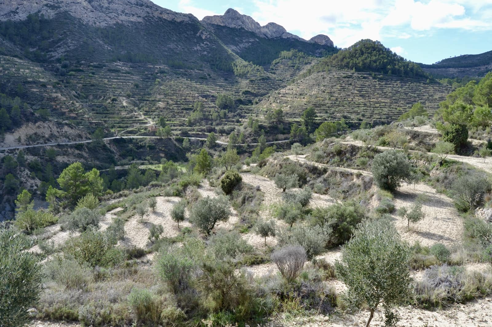 Grond te koop in Relleu - € 58.000 (Ref: 9357474)