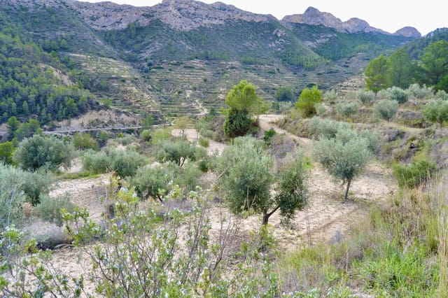 Mark till salu i Relleu - 58 000 € (Ref: 9357474)