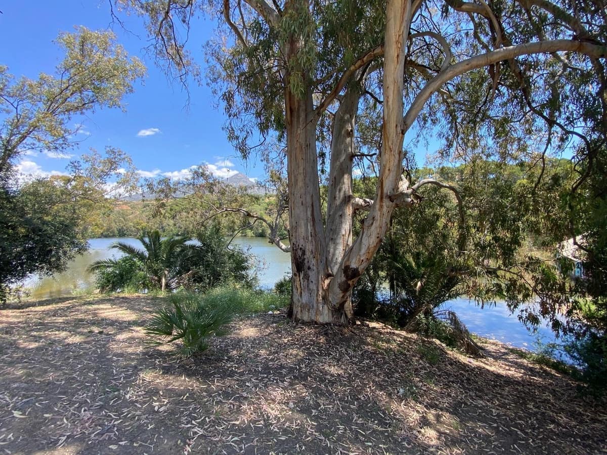 2 soverom Kjedet enebolig til salgs i Nueva Andalucia med svømmebasseng garasje - € 720 000 (Ref: 9004173)