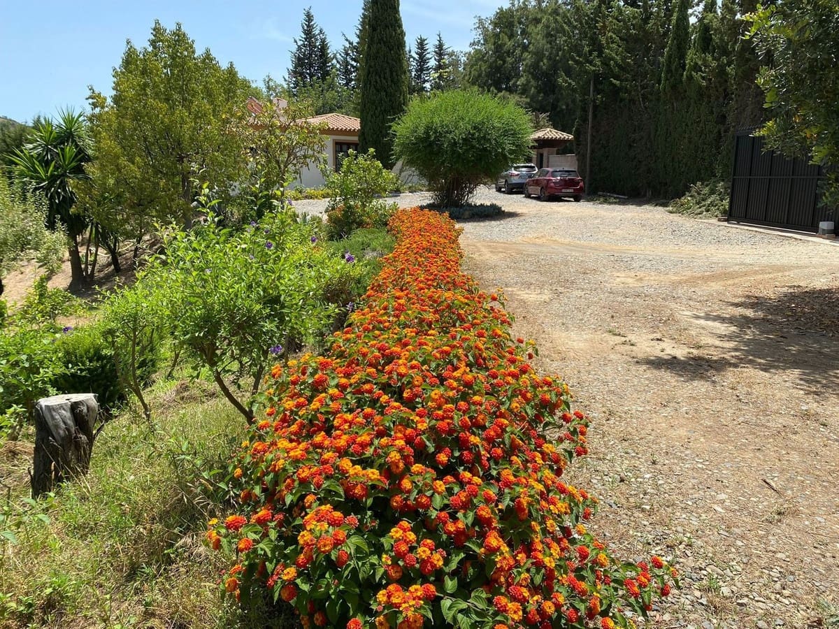 2 camera da letto Finca/Casa di Campagna in vendita in Estepona con piscina garage - 550.000 € (Rif: 9313988)