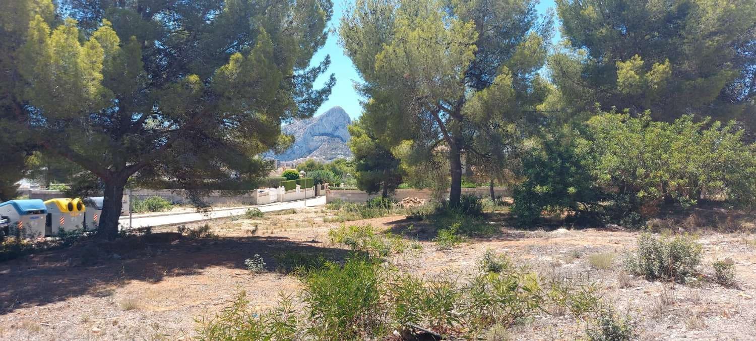 Grunde uden byggetilladelser til salg i Calpe / Calp - € 300.000 (Ref: 8441571)
