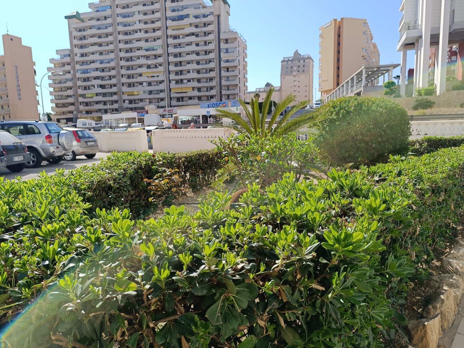 Local Commercial à vendre à Calpe / Calp - 169 000 € (Ref: 8561206)