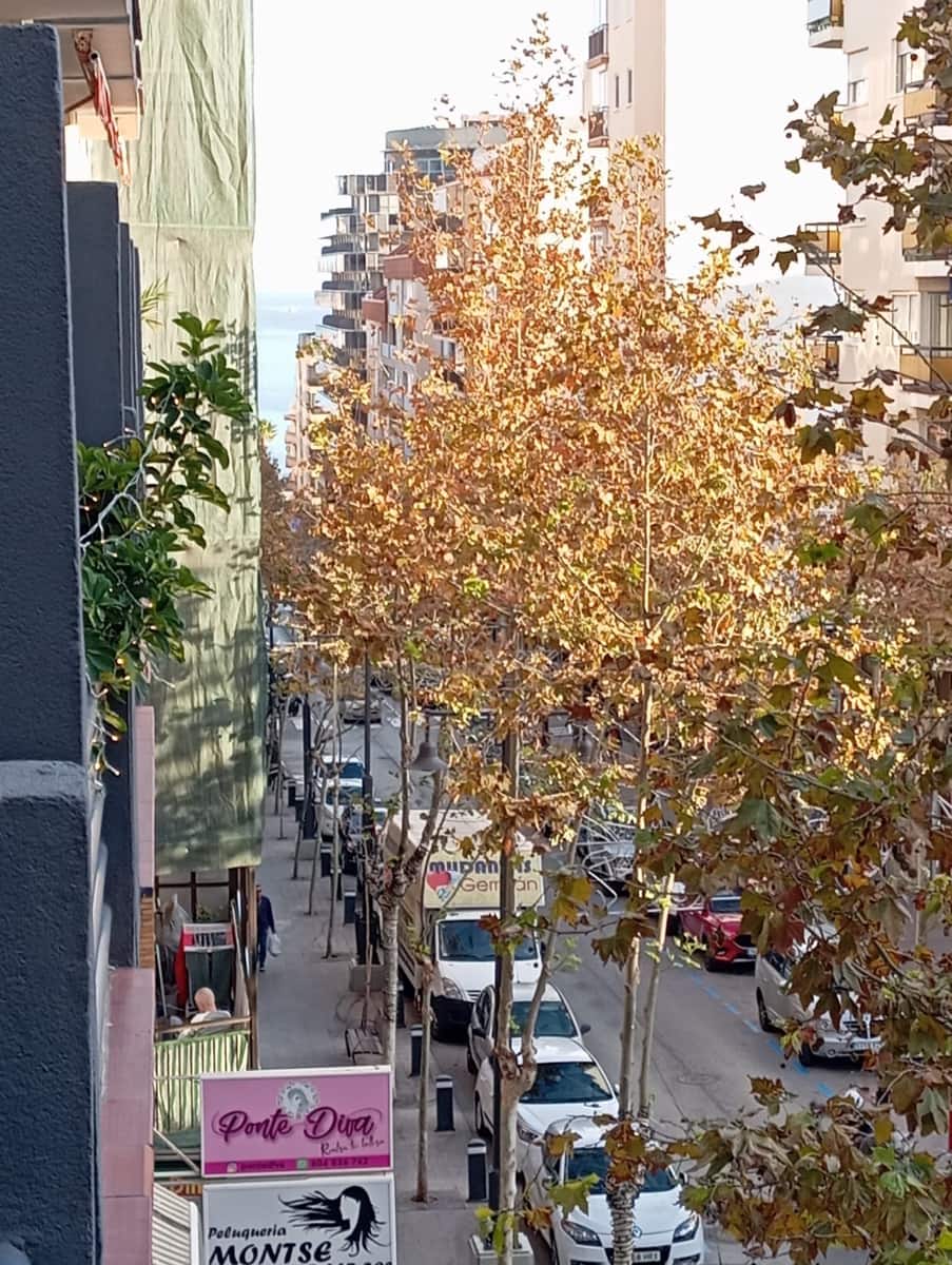 1 sovrum Lägenhet till salu i Calpe / Calp - 196 000 € (Ref: 9451705)