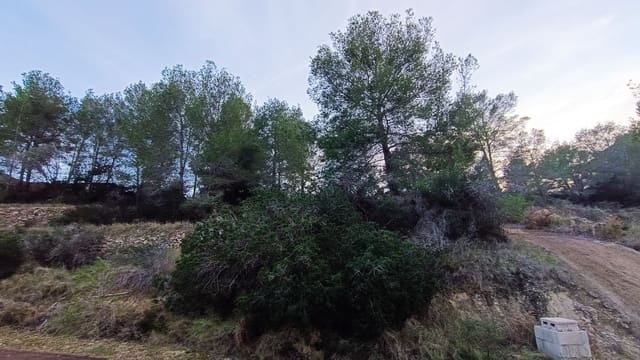 Undeveloped Land for sale in Benissa - € 355,000 (Ref: 9524003)