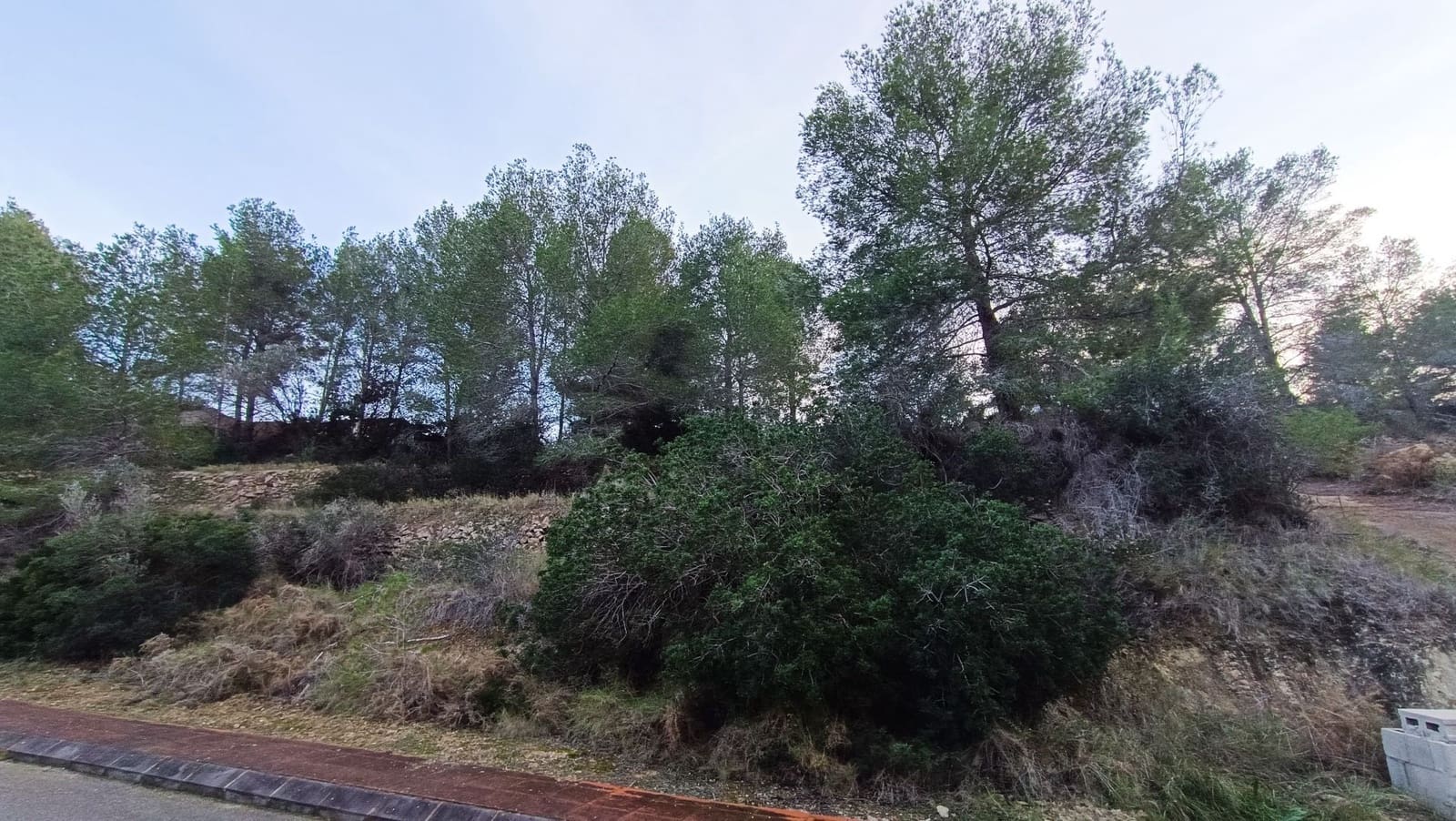 Undeveloped Land for sale in Benissa - € 355,000 (Ref: 9524003)