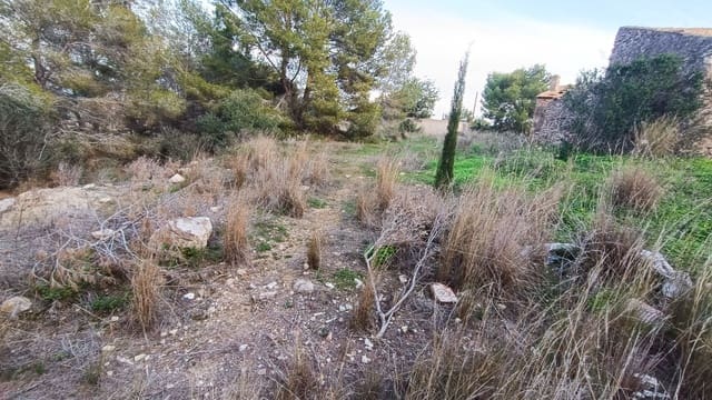 Grunde uden byggetilladelser til salg i Benissa - € 510.000 (Ref: 9524004)