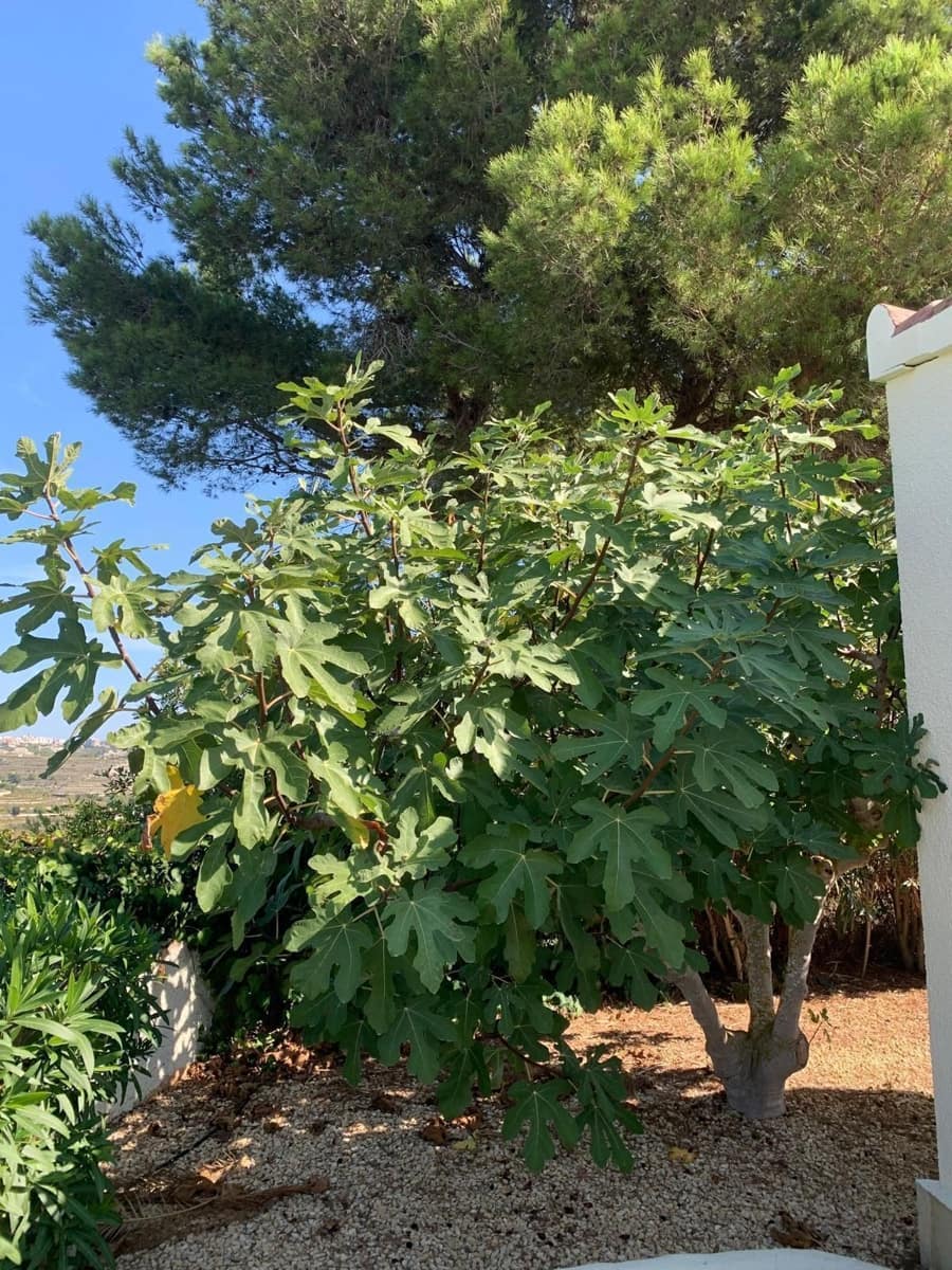 5 camera da letto Villa in vendita in Moraira con piscina garage - 770.000 € (Rif: 9666000)