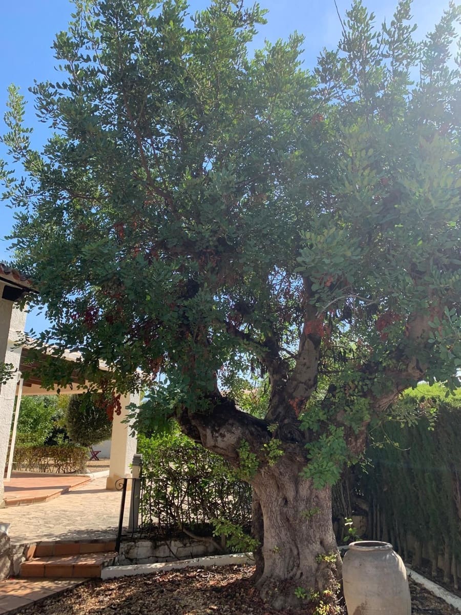 5 camera da letto Villa in vendita in Moraira con piscina garage - 770.000 € (Rif: 9666000)