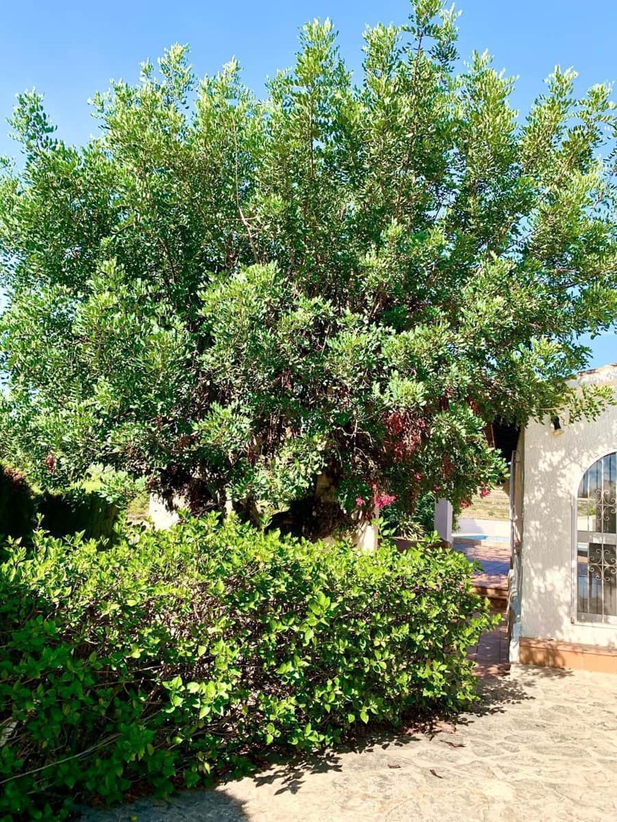 5 camera da letto Villa in vendita in Moraira con piscina garage - 770.000 € (Rif: 9666000)