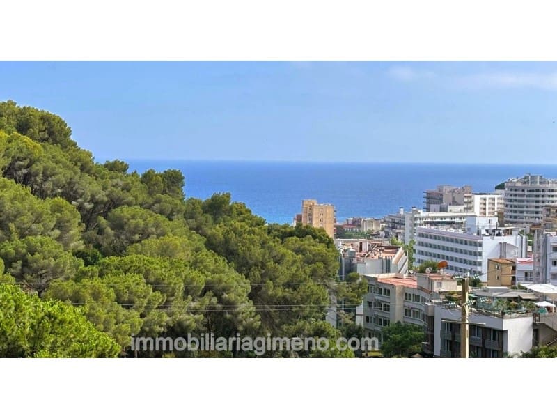 1 slaapkamer Appartement te koop in Lloret de Mar met zwembad garage - € 135.000 (Ref: 10166343)