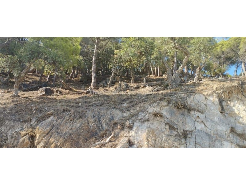 Tomt till salu i Lloret de Mar - 415 000 € (Ref: 8209909)