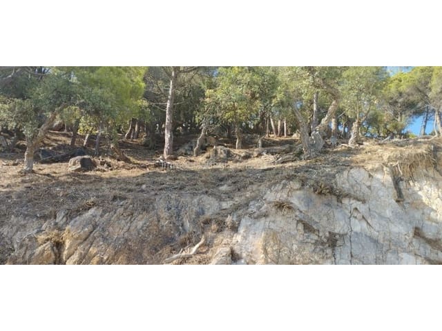 Building Plot for sale in Roca Grossa, Lloret de Mar - € 415,000 (Ref: 8209909)