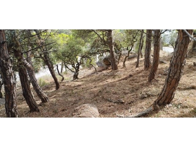 Building Plot for sale in Roca Grossa, Lloret de Mar - € 415,000 (Ref: 8209909)