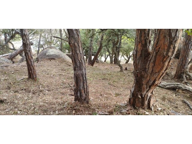 Building Plot for sale in Roca Grossa, Lloret de Mar - € 415,000 (Ref: 8209909)