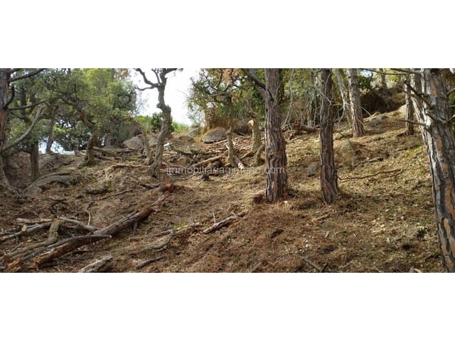 Building Plot for sale in Roca Grossa, Lloret de Mar - € 415,000 (Ref: 8209909)