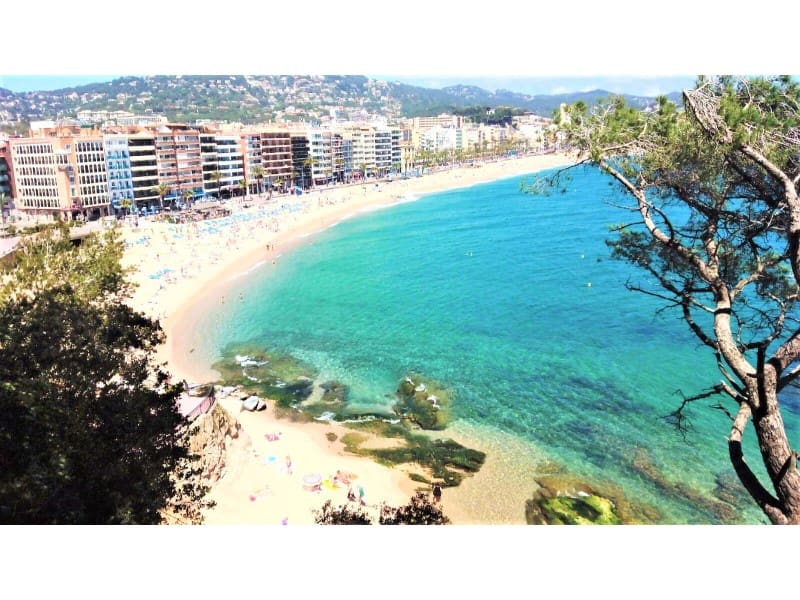 2 quarto Penthouse para arrendar em Lloret de Mar - 725 € (Ref: 9499019)
