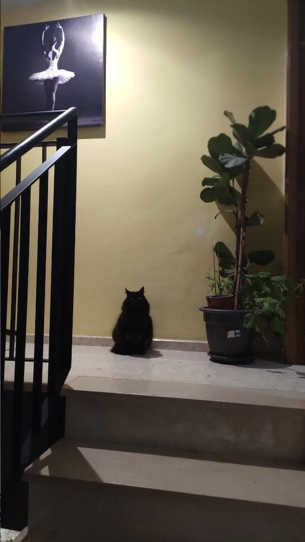 3 sypialnia Apartament na sprzedaż w Benetusser - 250 000 € (Ref: 9532113)