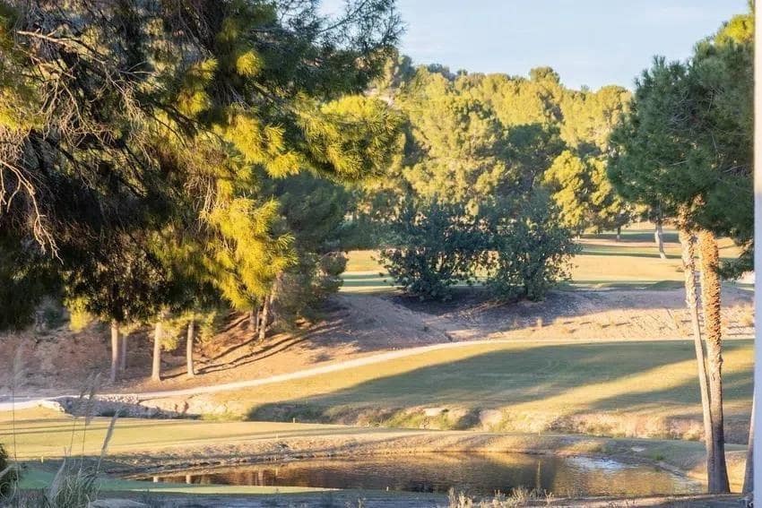 1 soverom Leilighet til leie i Chiva - € 1 250 (Ref: 9571187)