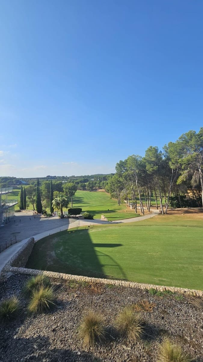 1 soverom Leilighet til leie i Chiva - € 1 250 (Ref: 9571187)