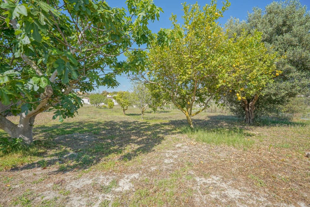 4 Zimmer Villa zu verkaufen in Benitachell / Benitatxell mit Pool Garage - 1.240.000 € (Ref: 10118276)