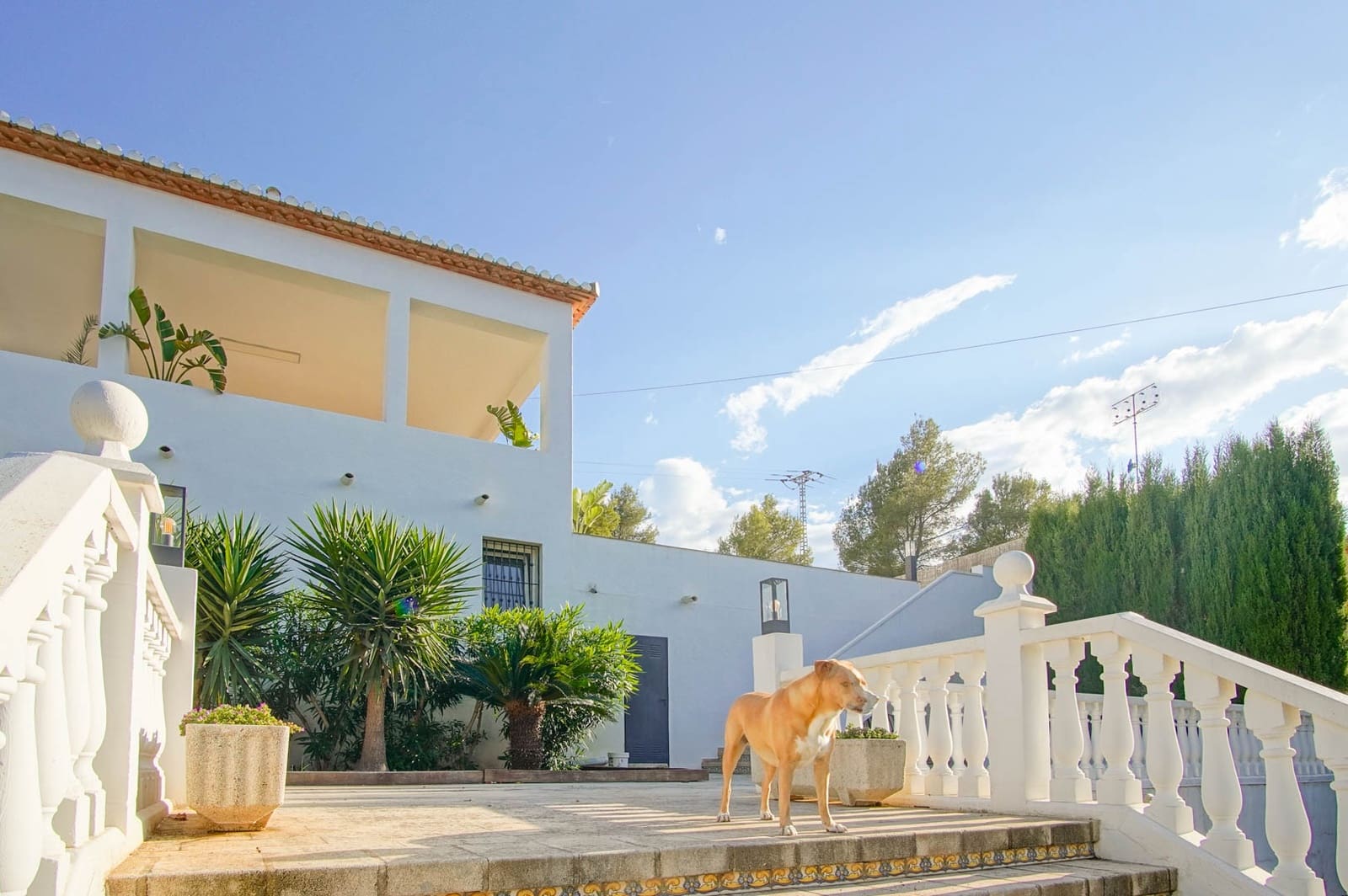6 Zimmer Villa zu verkaufen in Denia mit Pool Garage - 1.060.000 € (Ref: 10118295)