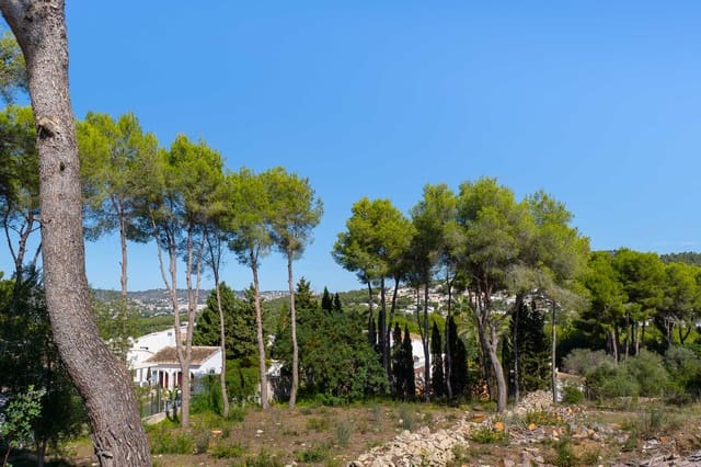 Terrain à Bâtir à vendre à Partides comunes - Adsubia, Javea / Xàbia - 450 000 € (Ref: 10118315)