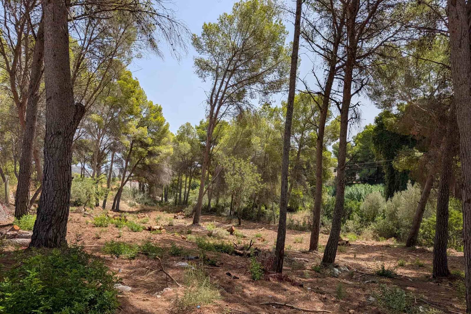Działka budowlana na sprzedaż w Moraira - 910 000 € (Ref: 10118357)