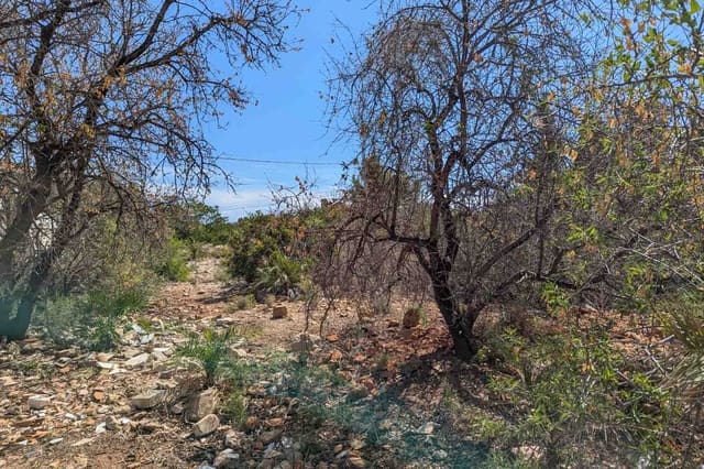 Działka budowlana na sprzedaż w El Montgó, Dénia - 235 000 € (Ref: 10118359)