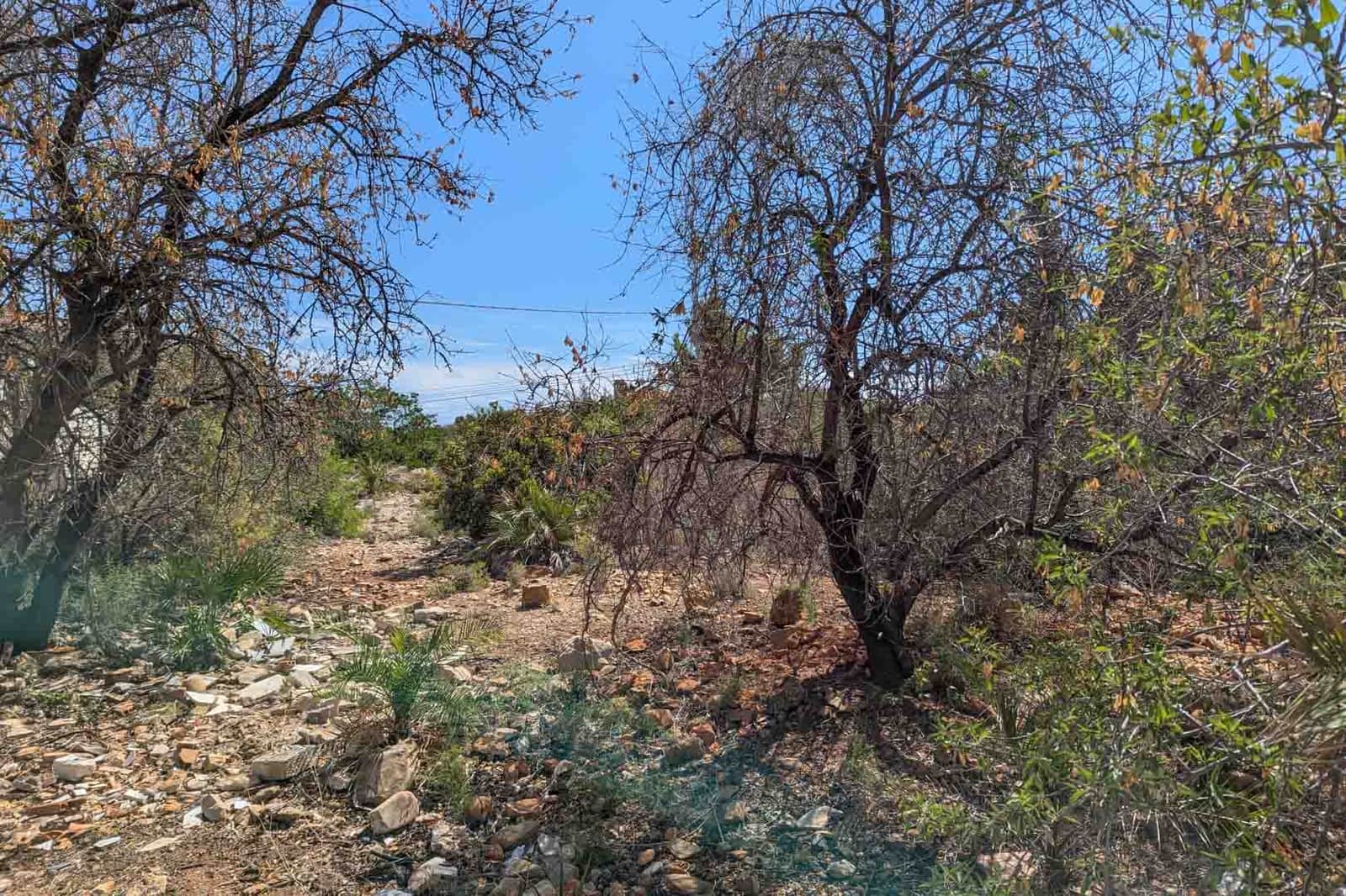 Terrain à Bâtir à vendre à Denia - 225 000 € (Ref: 9034992)