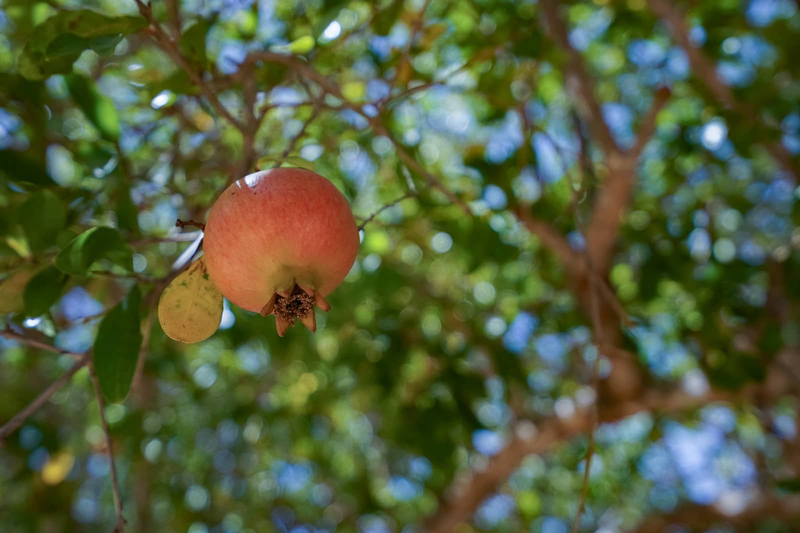 3 chambre Villa/Maison à vendre à Javea / Xabia avec piscine - 620 000 € (Ref: 9248431)