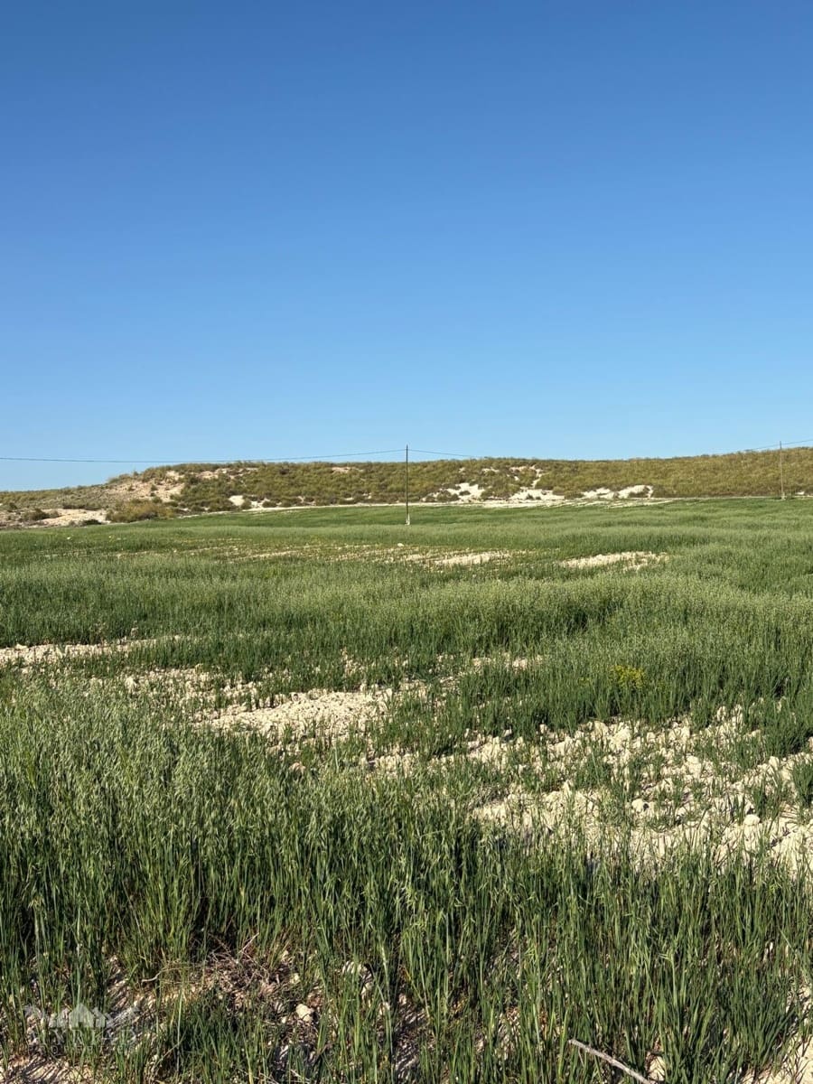 6 sypialnia Finka/Dom wiejski na sprzedaż w Jumilla z garażem - 95 000 € (Ref: 10171060)