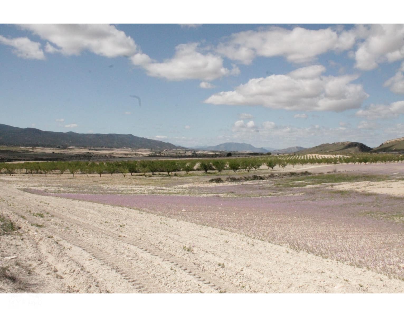 6 sypialnia Finka/Dom wiejski na sprzedaż w Jumilla z garażem - 95 000 € (Ref: 10171060)