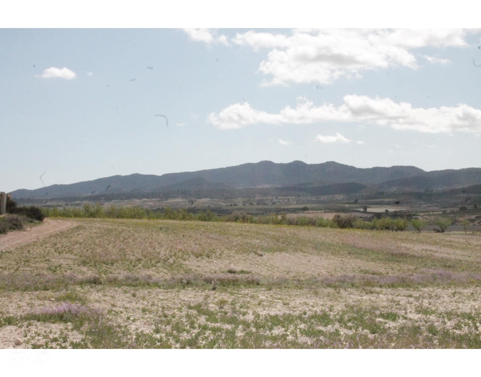 6 sypialnia Finka/Dom wiejski na sprzedaż w Jumilla z garażem - 95 000 € (Ref: 10171060)
